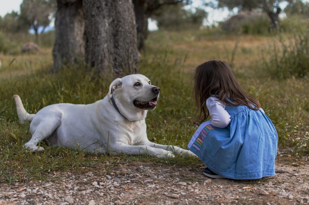 kid with dog