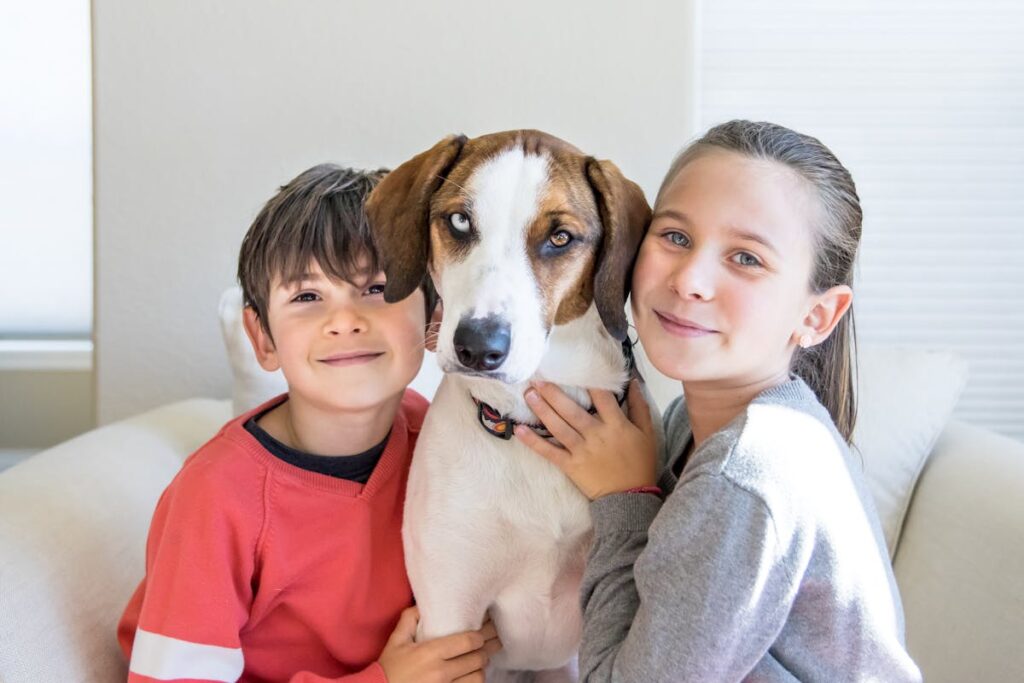 Beagle with 2 kids